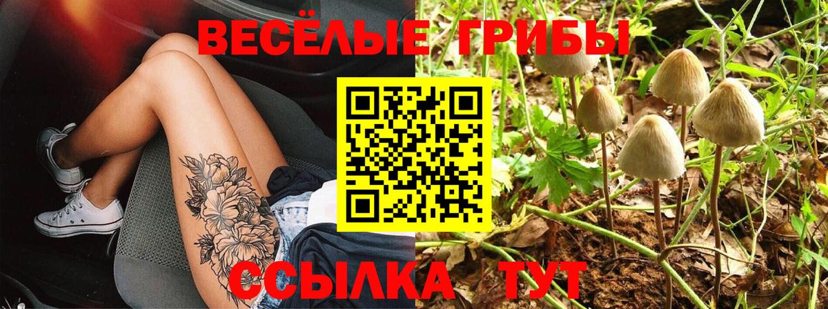 Галлюциногенные грибы Psilocybe Протвино